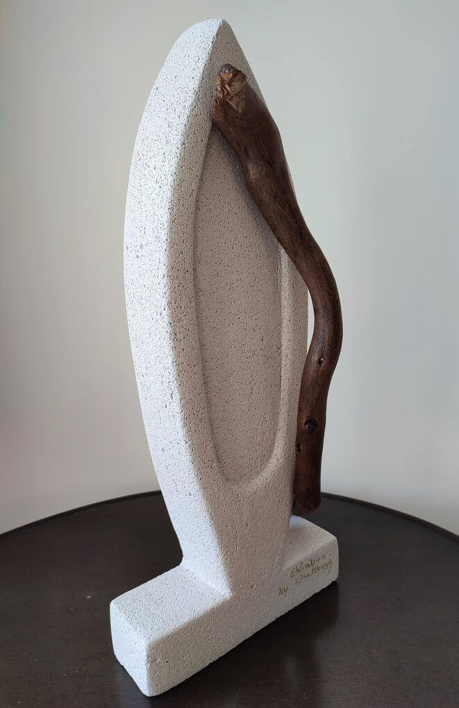 Elévation - 21 X 48 cm