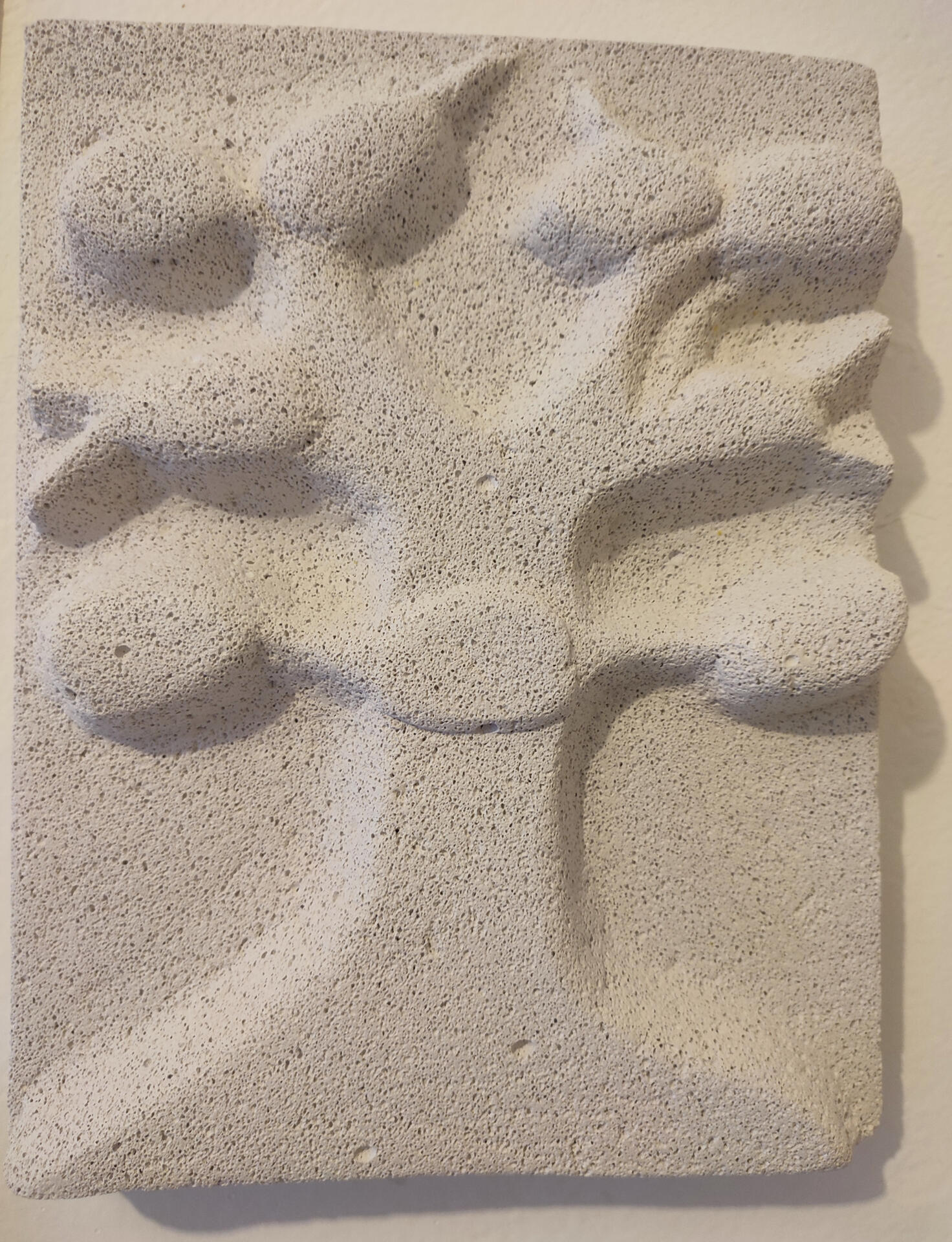 Tableau arbre généalogique - 28 X 22 cm