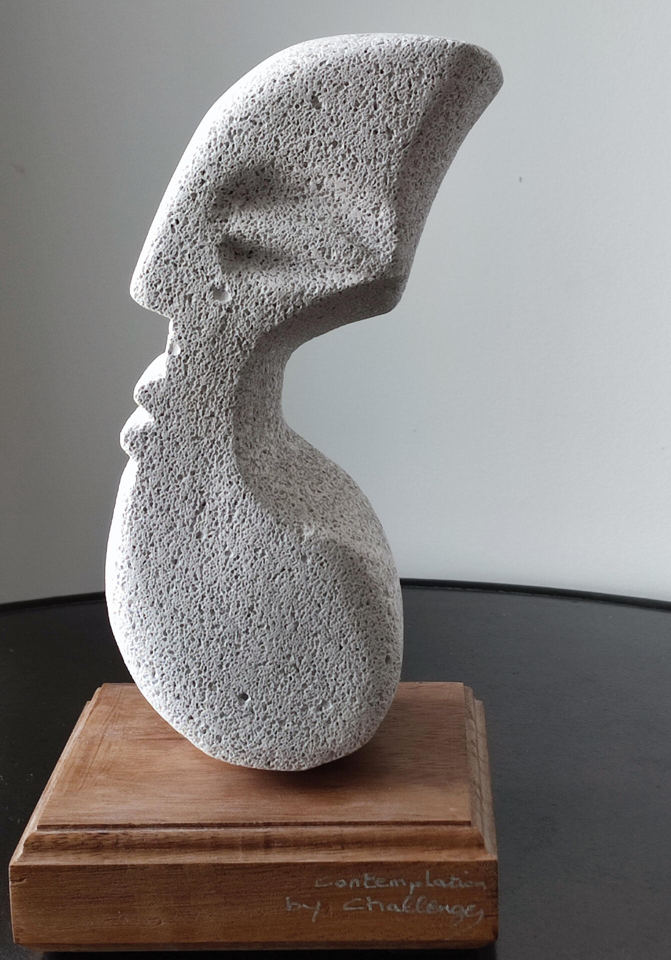 Contemplation - 15 X 28 cm -